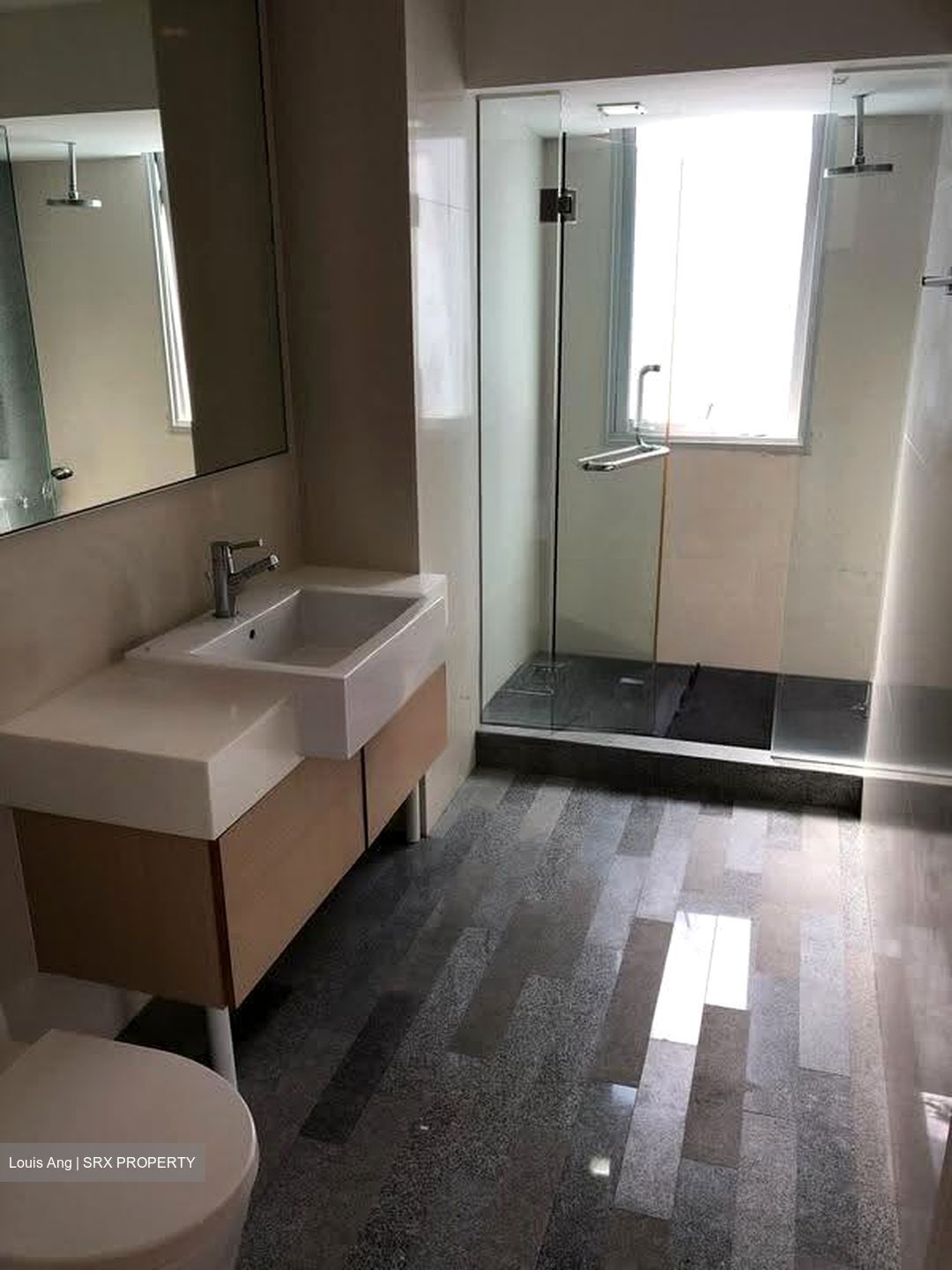 8 @ Mount Sophia (D9), Condominium #609148571